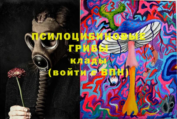2c-b Инсар